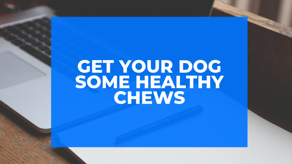 Get Your Dog Some Healthy Chews